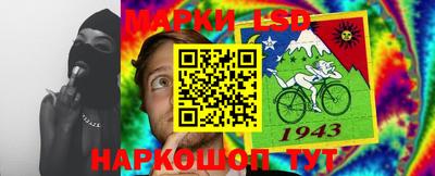 стафф Новозыбков