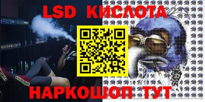 стафф Новозыбков