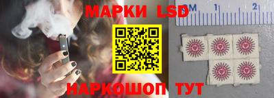 стафф Новозыбков