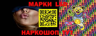 a pvp Новодвинск