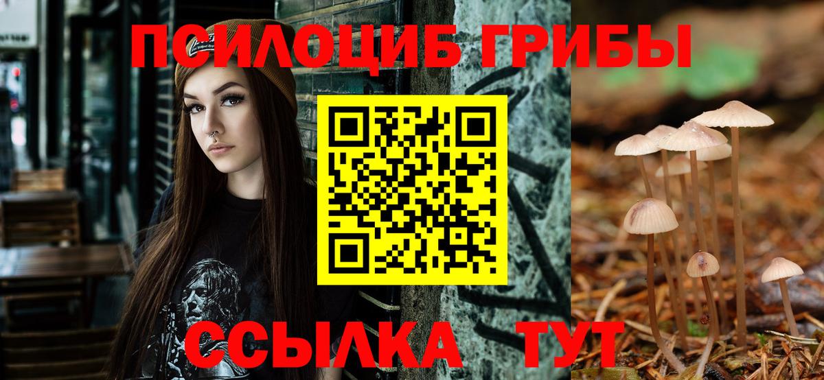 Галлюциногенные грибы Psilocybine cubensis  Вход с VPN  Урюпинск  Псилоцибиновые грибы MAGIC MUSHROOMS 